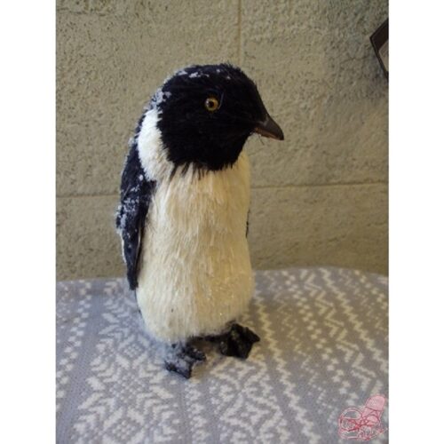 Pinguino piccolo
