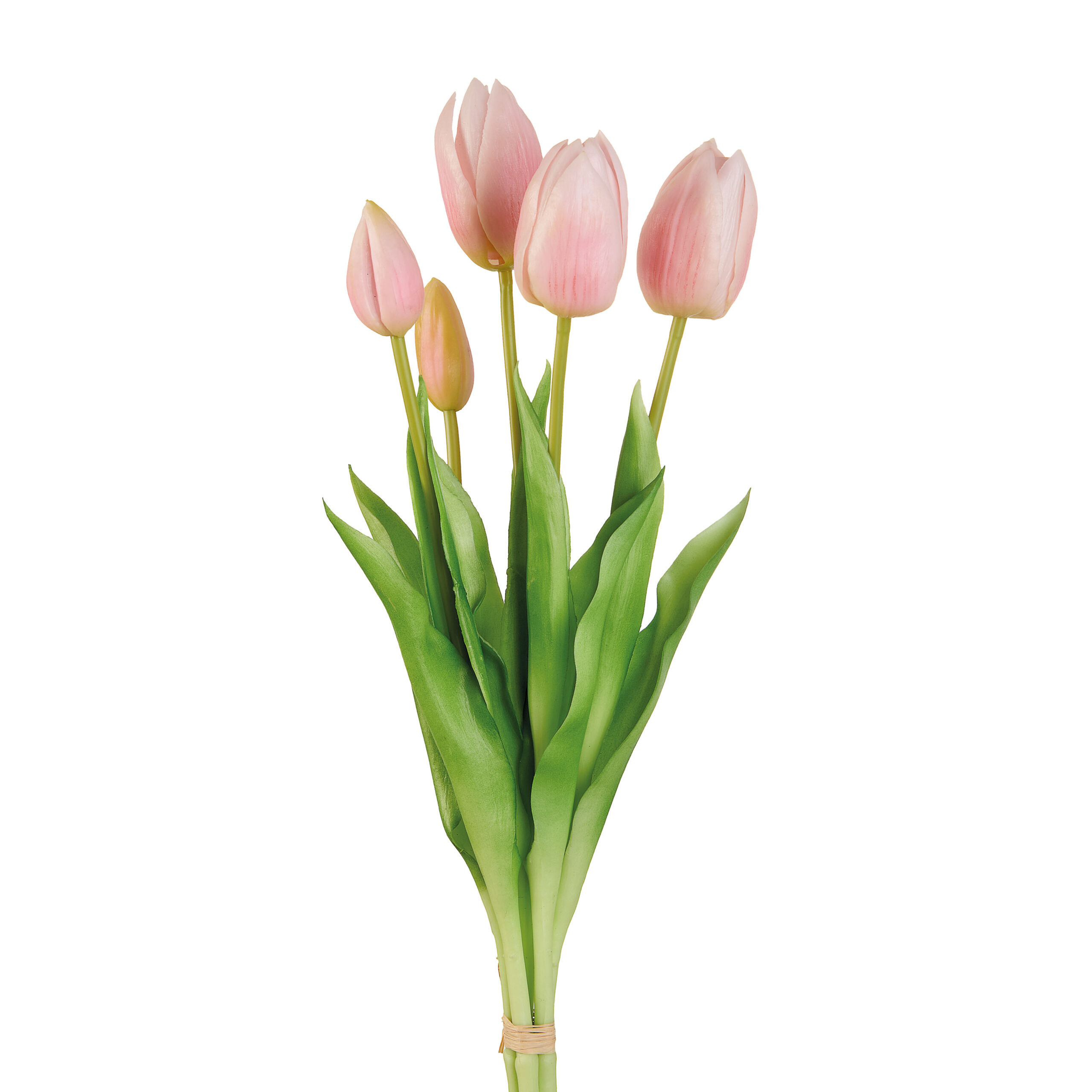 Bouquet 5 tulipani rosa