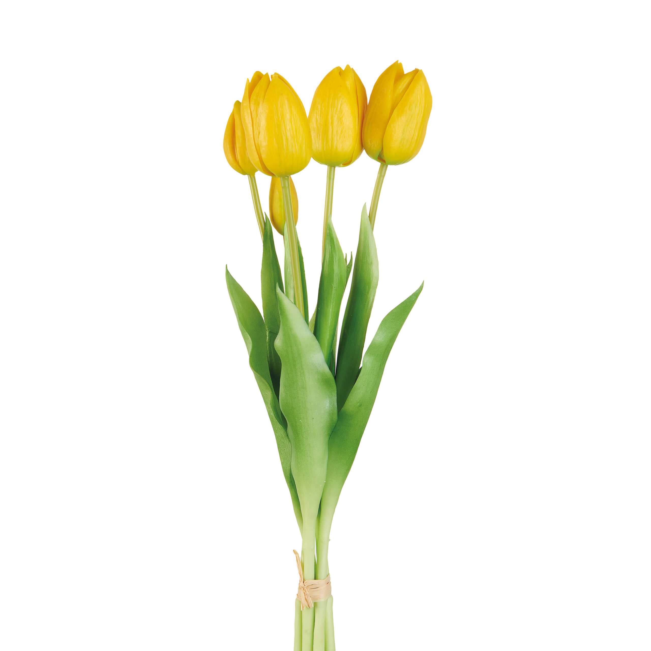 Bouquet 5 tulipani gialli